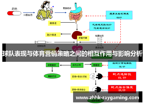 球队表现与体育营销策略之间的相互作用与影响分析