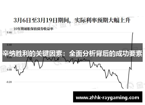 辛纳胜利的关键因素：全面分析背后的成功要素