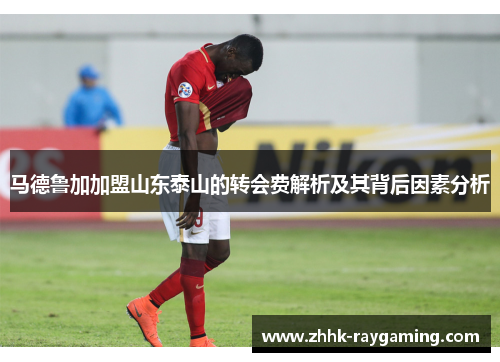 马德鲁加加盟山东泰山的转会费解析及其背后因素分析