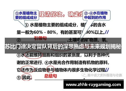 苏比门迪决定留队背后的深思熟虑与未来规划揭秘